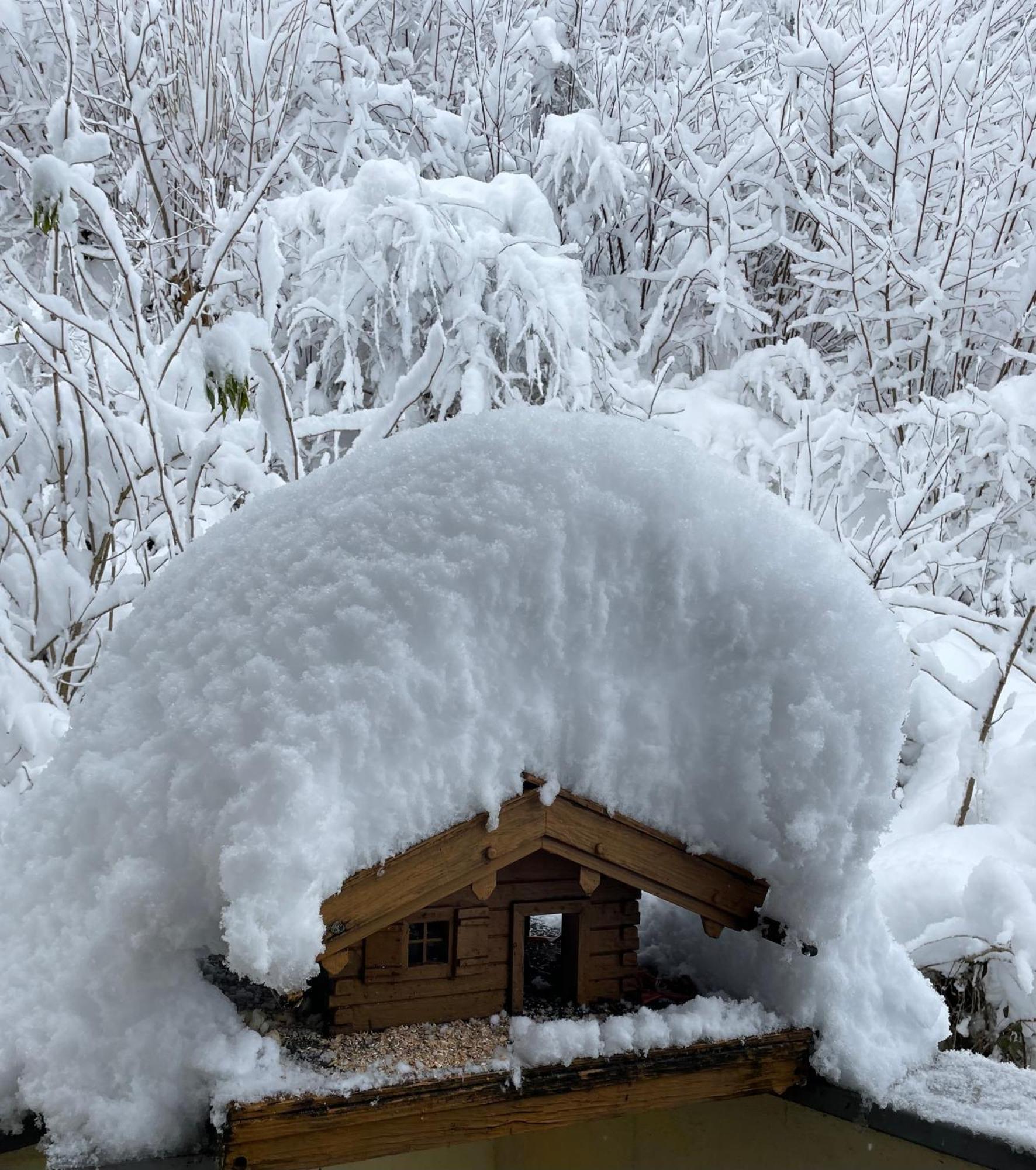 Ferienwohnung Mondial Neustift im Stubaital Luaran gambar
