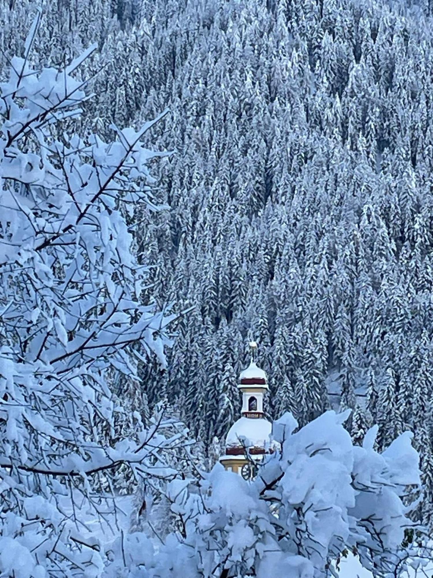 Ferienwohnung Mondial Neustift im Stubaital Luaran gambar