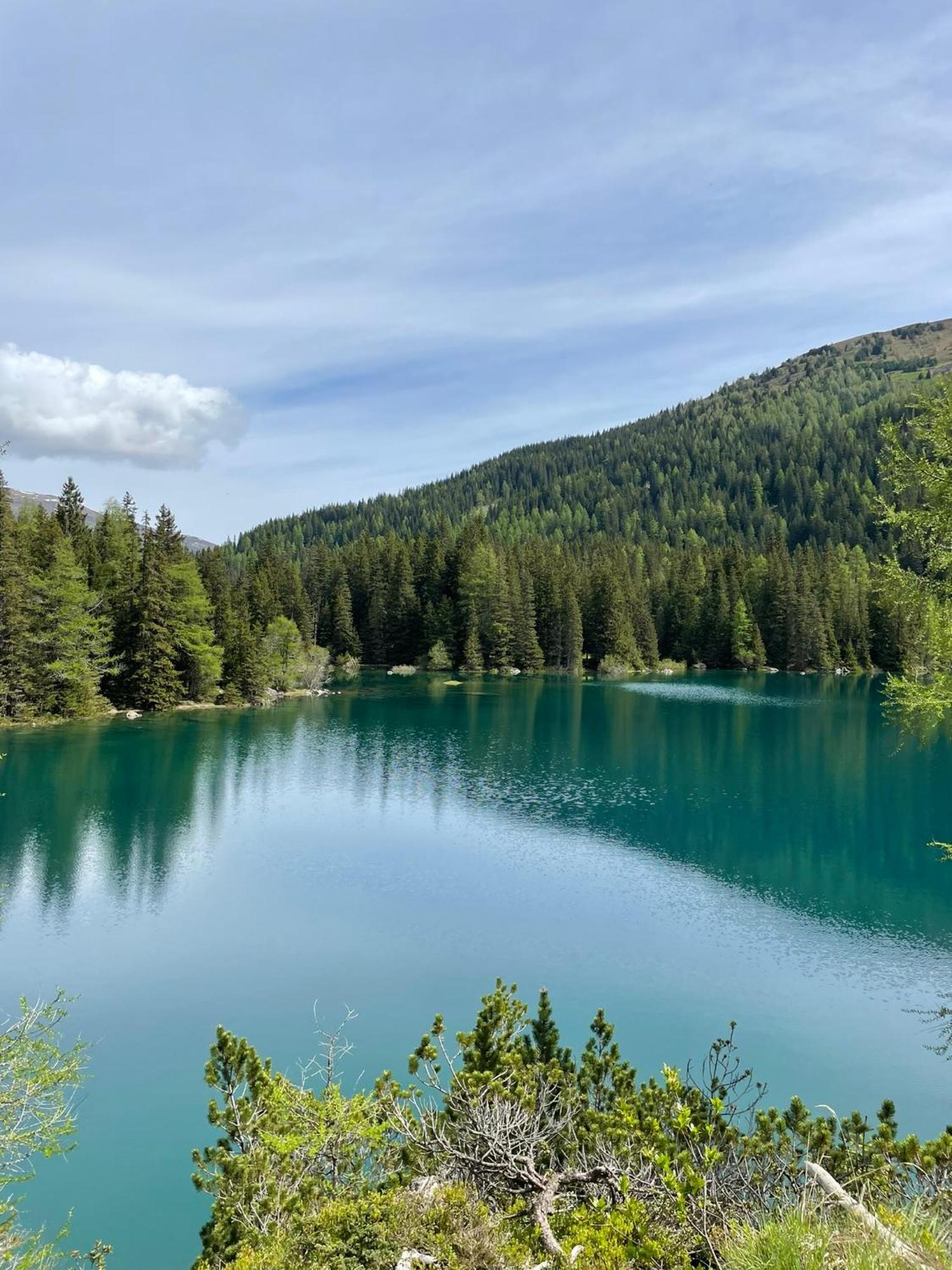 Ferienwohnung Mondial Neustift im Stubaital Luaran gambar