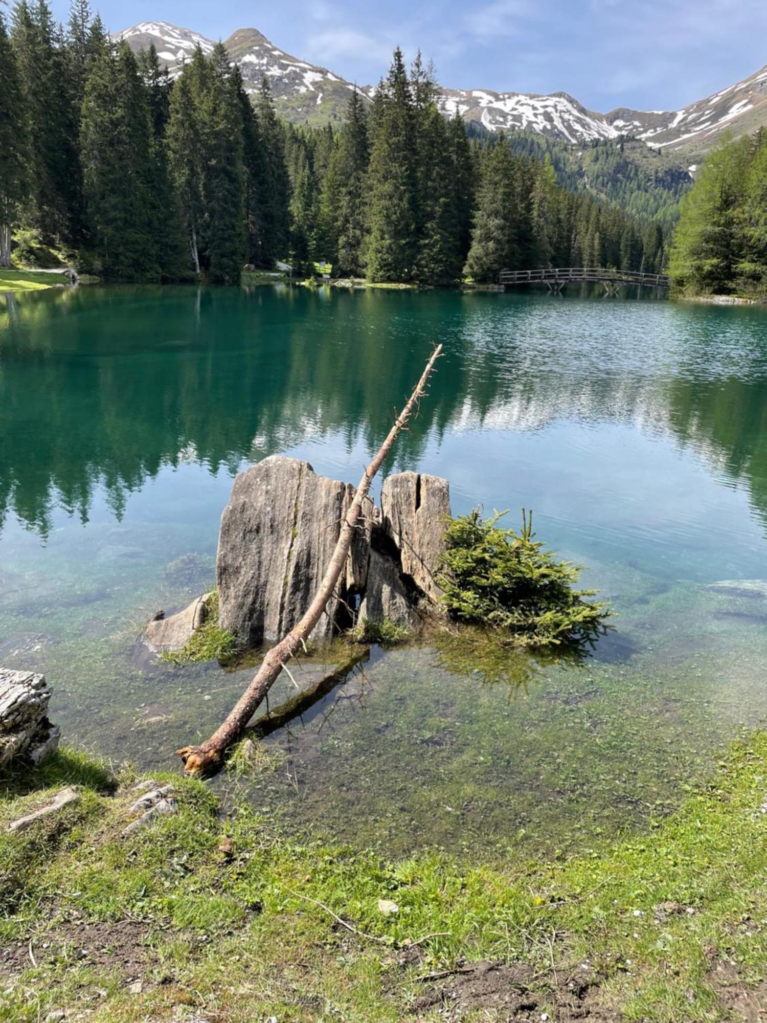 Ferienwohnung Mondial Neustift im Stubaital Luaran gambar