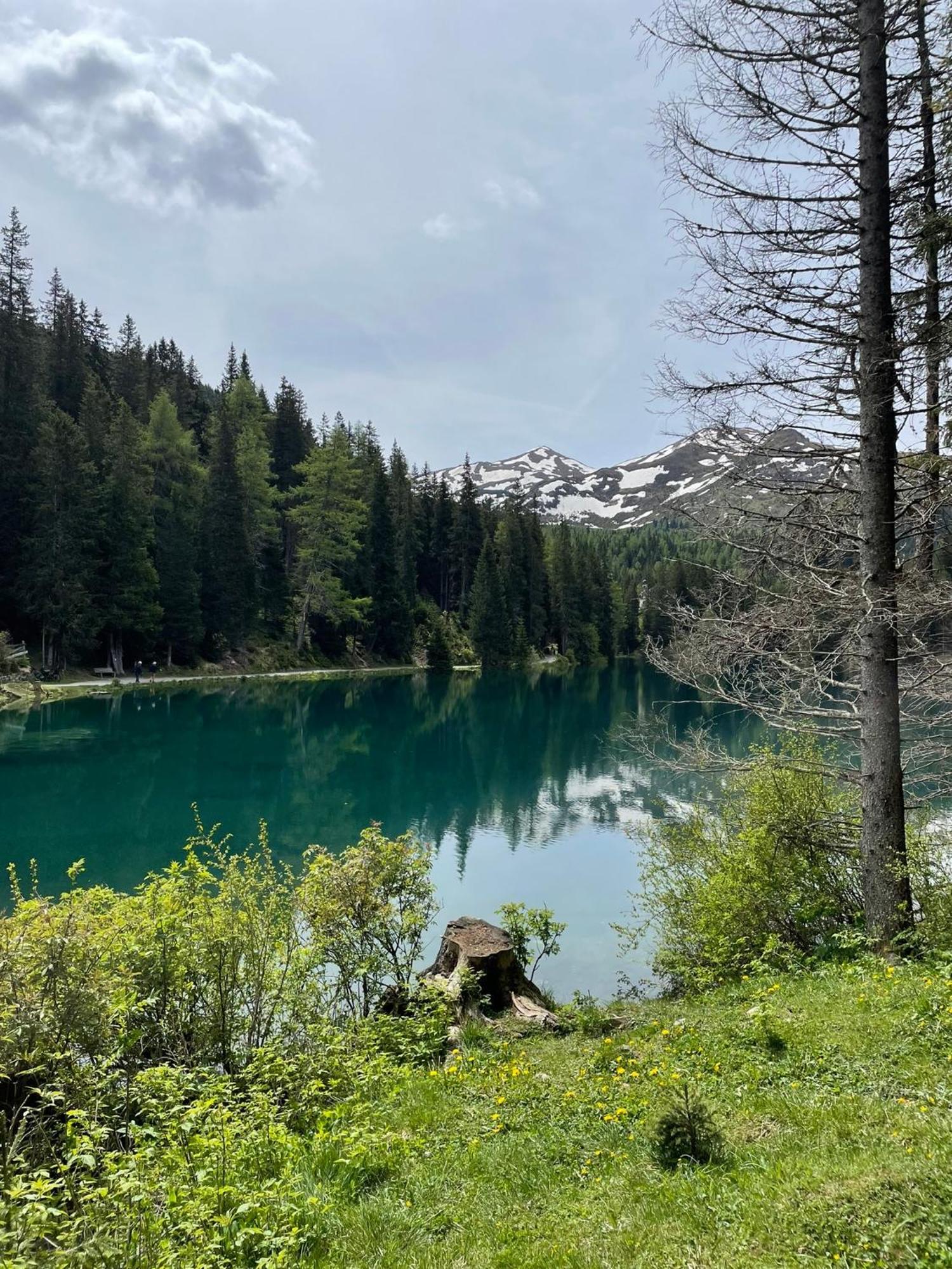 Ferienwohnung Mondial Neustift im Stubaital Luaran gambar