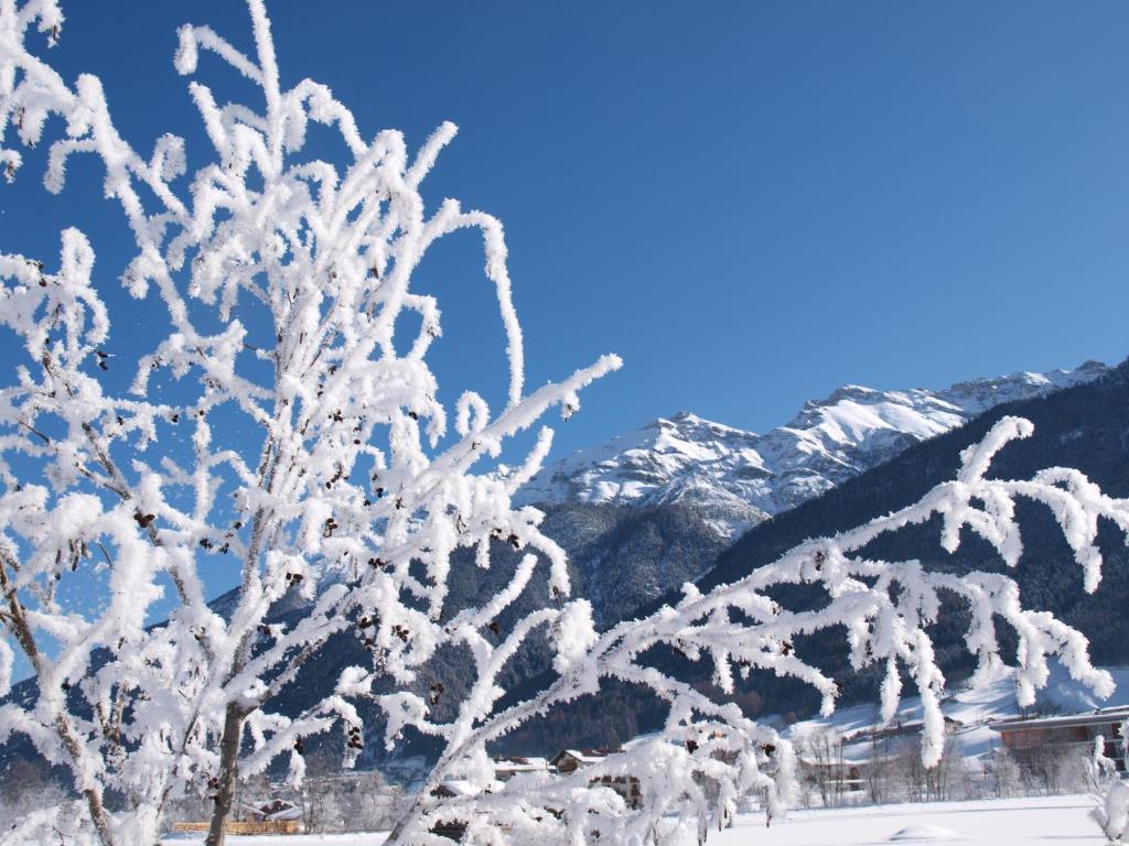 Ferienwohnung Mondial Neustift im Stubaital Luaran gambar